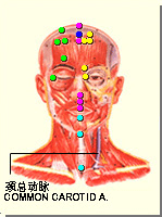 上星穴的位置