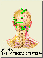 風池穴的位置